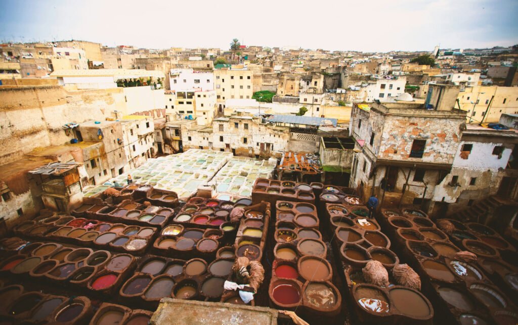 Fes tanneries leather dyeing pits