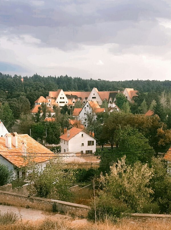 Ifrane alpine town landscape