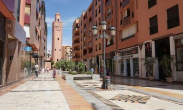 View of Marrakech city with Atlas Mountains background