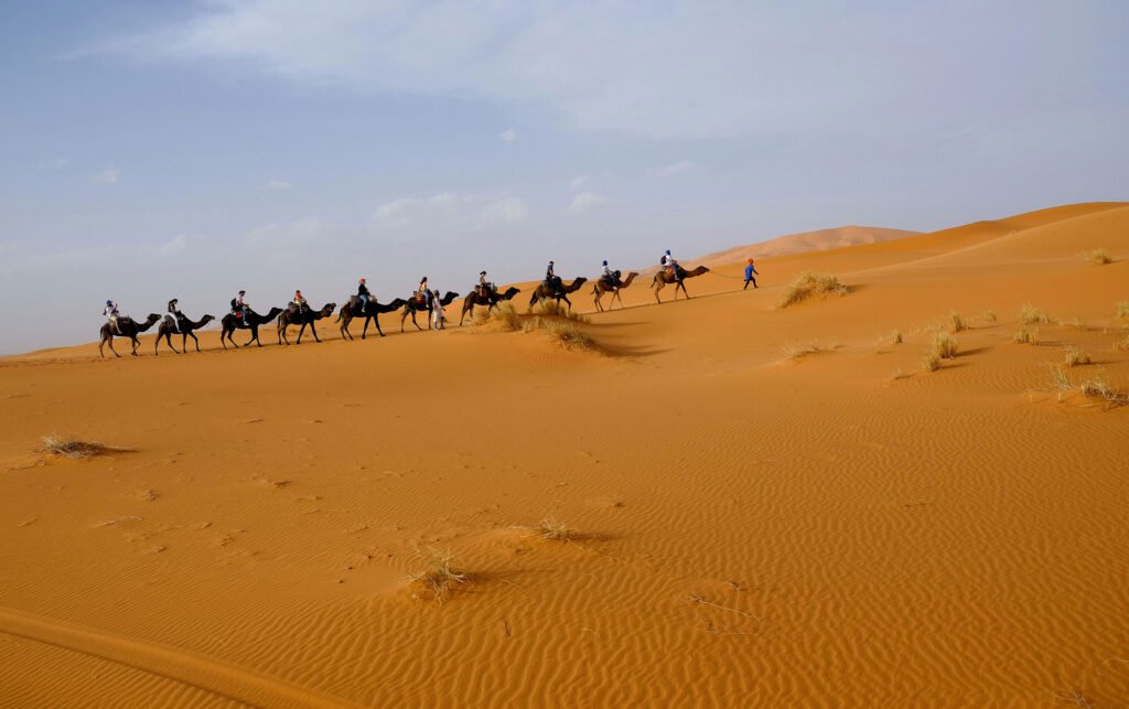 Camel caravan in Merzouga desert