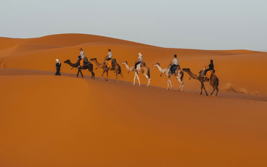Merzouga Sahara dunes at sunset