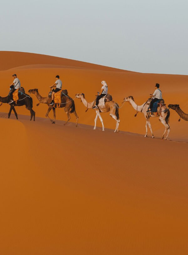 Merzouga Sahara dunes at sunset